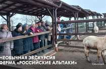 Экскурсия на ферму «Российские альпаки»